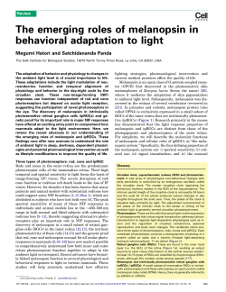 The emerging roles of melanopsin in behavioral adaptation to light