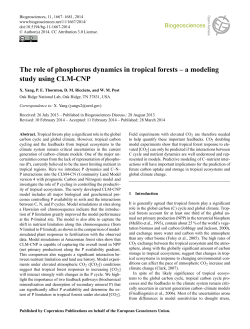 The role of phosphorus dynamics in tropical forests