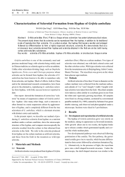 Characterization of Sclerotial Formation from Hyphae of Grifola