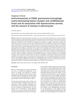 Immunoreactivity of CD68, granulocyte