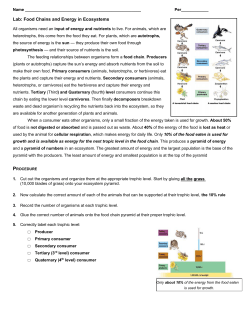 Lab: Food Chains and Energy in Ecosystems