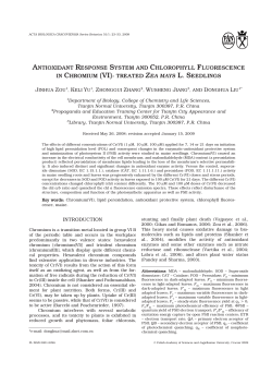 antioxidant response system and chlorophyll fluorescence in