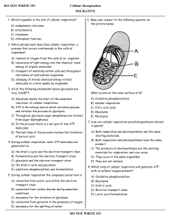 socrative cellular respiration