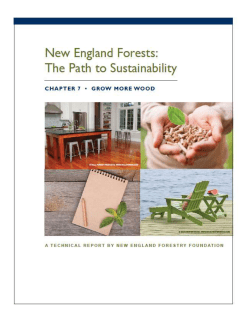 Grow More Wood - New England Forestry Foundation