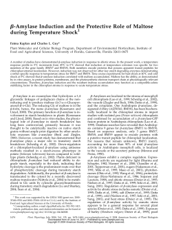 b-Amylase Induction and the Protective Role of Maltose during