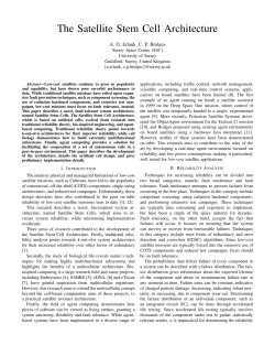The Satellite Stem Cell Architecture