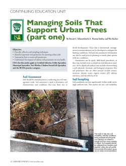 Managing soils That support urban Trees