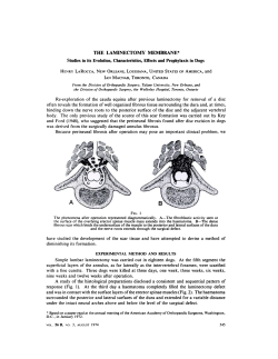 THE LAMINECTOMY MEMBRANE* in its Evolution, Characteristics