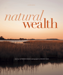 Natural Wealth - Sanctuary Vineyards