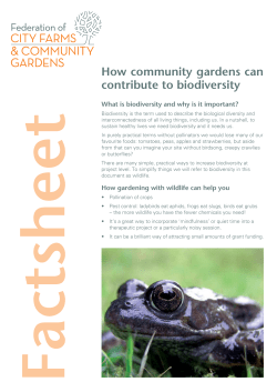 How community gardens can contribute to biodiversity