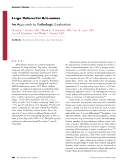 Large Colorectal Adenomas An Approach to Pathologic Evaluation