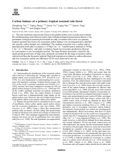 Carbon balance of a primary tropical seasonal rain forest