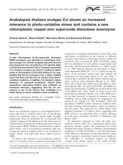 Arabidopsis thaliana ecotype Cvi shows an increased tolerance to
