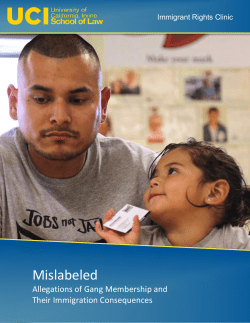 Mislabeled: Allegations of Gang Membership and Their