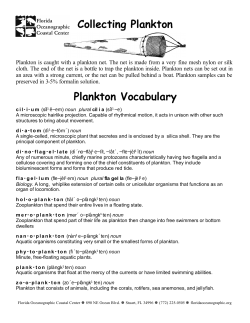 Plankton Vocabulary Collecting Plankton