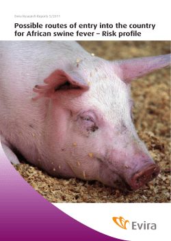 Possible routes of entry into the country for African swine fever
