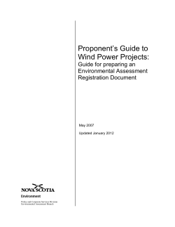 Proponent`s Guide to Wind Power Projects