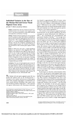 Individual variation in size of the human red and green visual