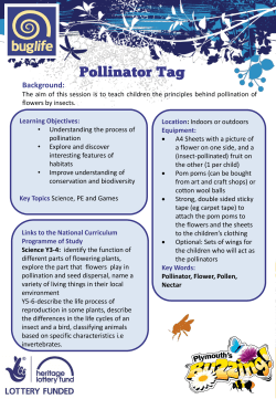 Pollinator Tag
