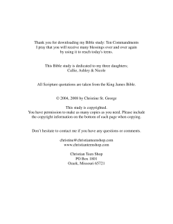 Ten Commandments - Christian Teen Shop