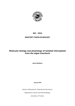 BIO 3910
