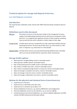 Technical options for storage and disposal of mercury Introduction