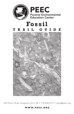 Fossil Trail Guide - Pocono Environmental Education Center