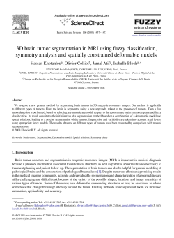 3D brain tumor segmentation in MRI using fuzzy