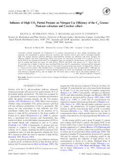 Influence of High CO 2 Partial Pressure on Nitrogen Use Efficiency