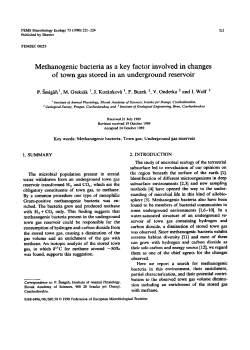 Methanogenic bacteria as a key factor involved in changes of town