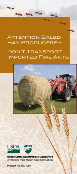 Don`t Transport Imported Fire Ants