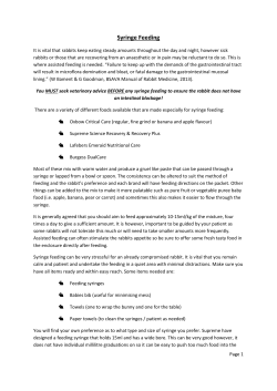 Syringe Feeding - Rabbit Welfare Association