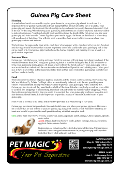 Guinea Pig Care Sheet