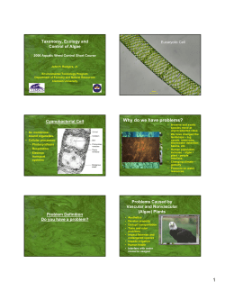 John H. Rodgers, Jr., Clemson University