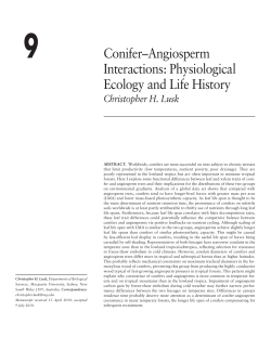 Conifer&ndash;Angiosperm Interactions: Physiological Ecology and Life
