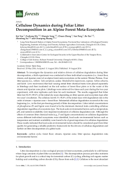 Cellulose Dynamics during Foliar Litter Decomposition in an Alpine