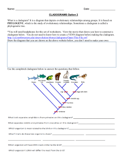 Name: Date: CLADOGRAMS Option 2 What is a