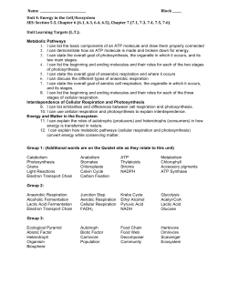 Unit 4: Energy in the Cell/Ecosystem