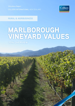marlborough vineyard values