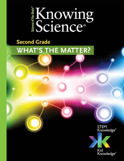 food chain - Knowing Science