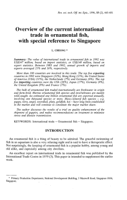 Overview of the current international trade in ornamental fish