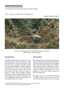The Asian elephant in Bhutan