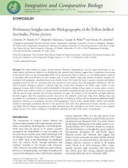 Preliminary Insights into the Phylogeography of the Yellow