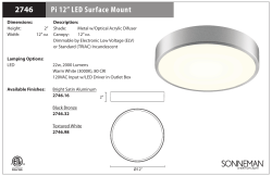 Pi 12&rdquo; LED Surface Mount 2746