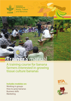 a training course for banana farmers interested in growing tissue