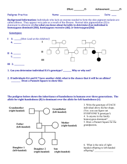 Effort: ______/5 Achievement: ______/5 Ped