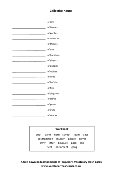 Collective nouns - Vocabulary Flash Cards