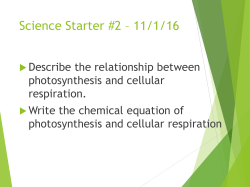 Cell Energy