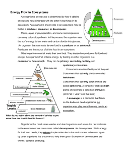 Energy Flow in Ecosystems