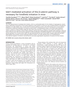 catenin pathway is necessary for hindlimb initiation in mice